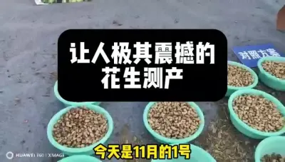 #ũҵ˻ũҵ#ũ#ԥ߲ƻ