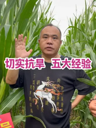 ʵ  ȥ24ˮҲעӲӴ#ũҵݪֲ