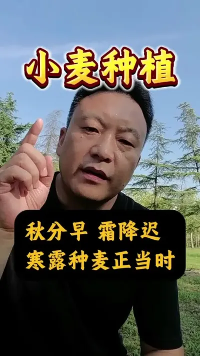 ʲôʱС#Сݪֲ #Сּ