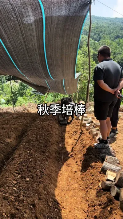 ＾ʱ #ũݪֲ #ũҵݪֲ #ݪֲ @С