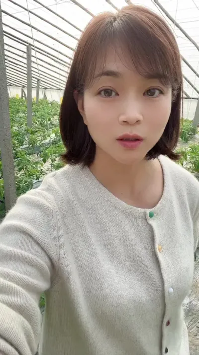 #Ҷ#Ҷ#ݪֲ#󋠶#¼ҵݪֲ Ҷڳ 2ƿ19.8 @С