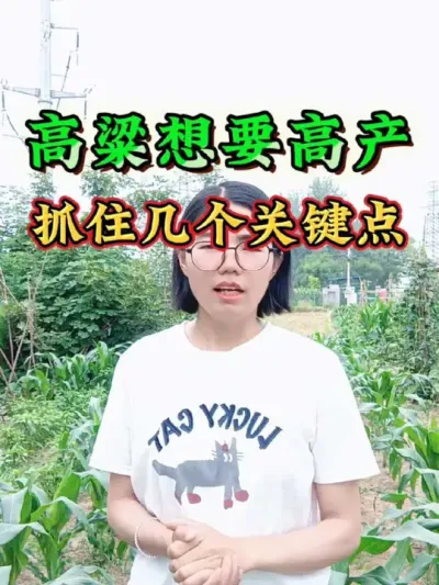 ֮Żø߲ûҪԽԽһյײԶ#ũҵݪֲ #ũ #溦 # #ݪֲ