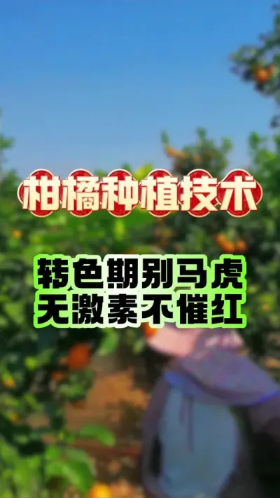 תɫ©޼ء첻ߺ——#ݪֲ #ٹ #תɫ #԰ #ݪֲ