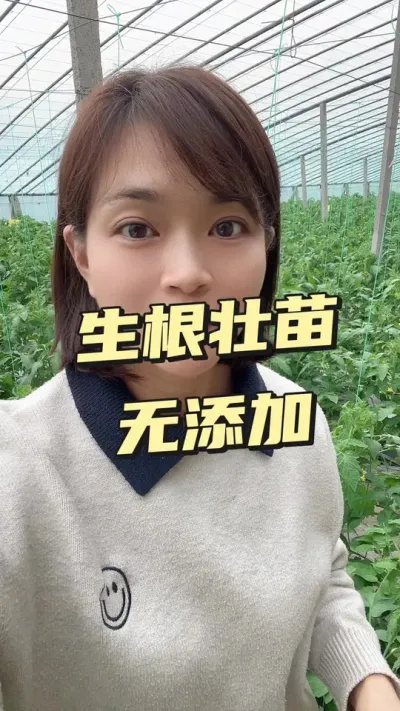 #ݪֲ#󋠶#Դ##׳ Ҫ٭СƳ@С