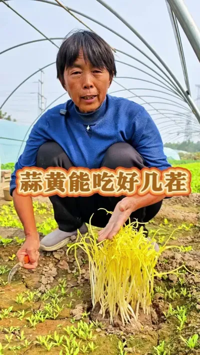 ֵܳ#ũ # #߲ #ݪֲСС @С @DOU+ @DOU+С