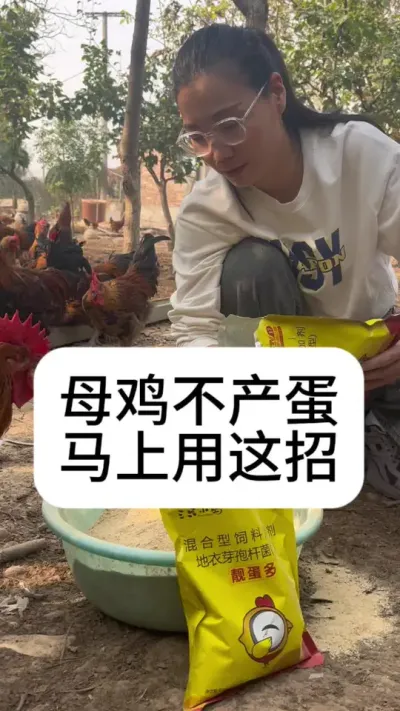 #养鸡#新手养鸡#养鸡妙招#科学养鸡#养鸡技术