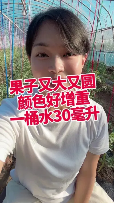 #ݪֲ##ݪֲ ##Ҷ СƳµ @С