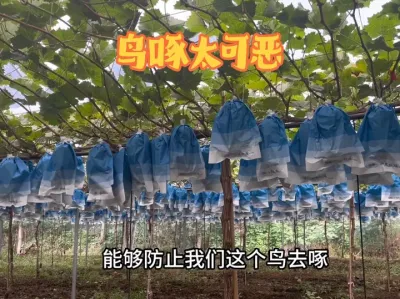 Σ˽ķ# #õ # #ũҵ #񺦷