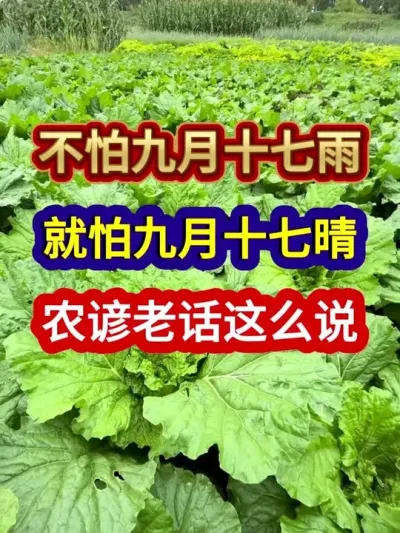 ¾ʮ¾ʮũϻô˵ #ũҵ #ũ #ũϻ #ũ #ũҵݪֲ