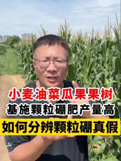 СͲ˺͹ʩʲֿ #Сݪֲ #С߲ # #С׷ #ũҵ֪ʶũ