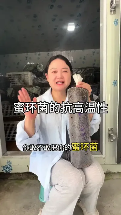 ۻĿ #ũ #ݪֲ#Դͷû @С