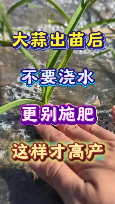 ʩʱˮ#ݪֲ #߲ #ⲡ