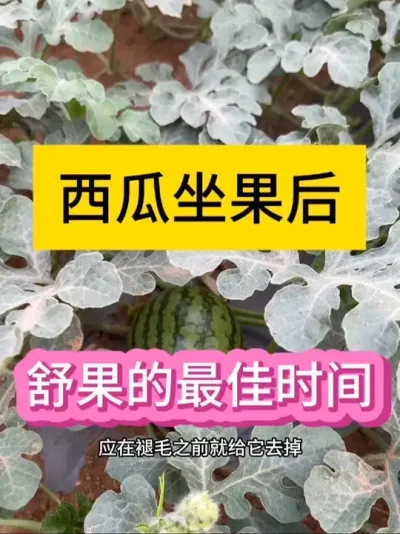 #抖音助农扶农 #抖音扶农 #