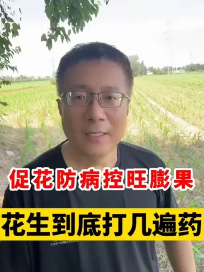 ٻ򼸱ҩ #ݪֲ #߲ # #ݪֲ #߲ݪֲ