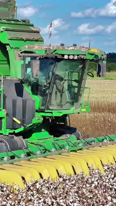 1980˰޻ҲҪˣ #ִũҵе #޻ #Լ϶