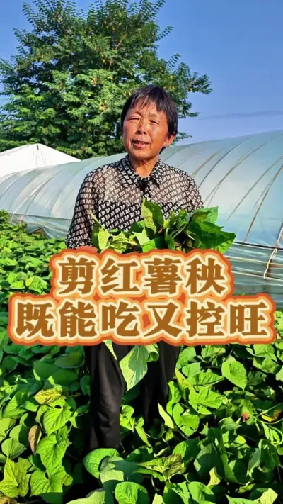 Ժܳܿ#ũ # # #߲ #߲ݪֲ@DOU+С @С @DOU+