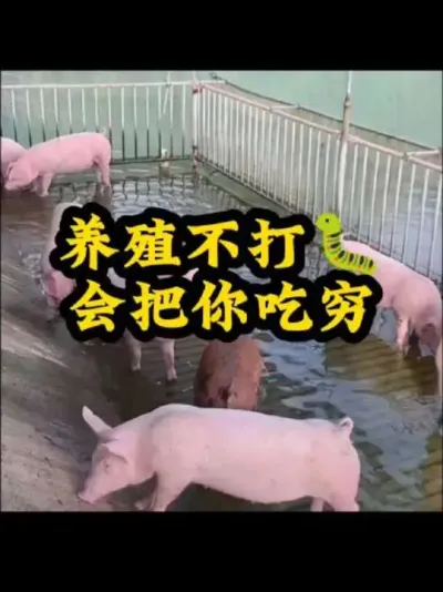 ֳ #֪ʶ #˵һƽ #ֳ #ũ #ũ @DOU+С