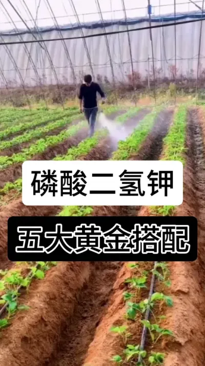 9888��˹ά��˹(�ɷ�)���޹�˾-�ٷ���վ