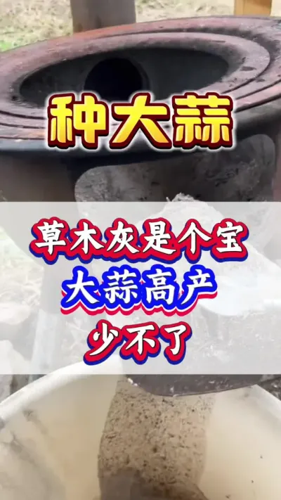 ľǸ߲ٲ#ݪֲ #߲ #ִ #Ƥ #