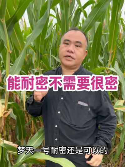 ܲҪ ܵƷխкͷˮ˳мܵļֵ#ũҵݪֲ