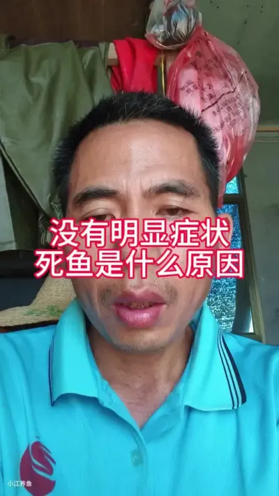 Сû֢״ʲôԵԭ#ʲôҩ