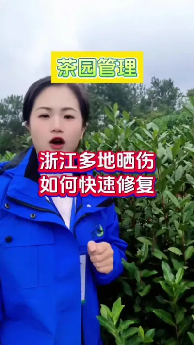 #ݪֲ 㽭طɹǶ޸# #԰ #ɹ #ѿ