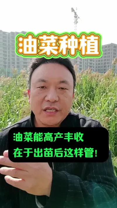 Ͳ˳ӦܲŻ߲գ#Ͳݪֲ #Ͳ˹