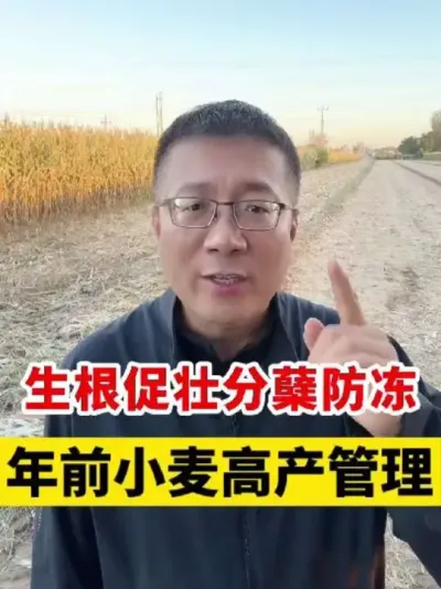 ǰС߲Сߣ  #Сݪֲ #Сݪֲ #С߲ #С #Сݪֲ