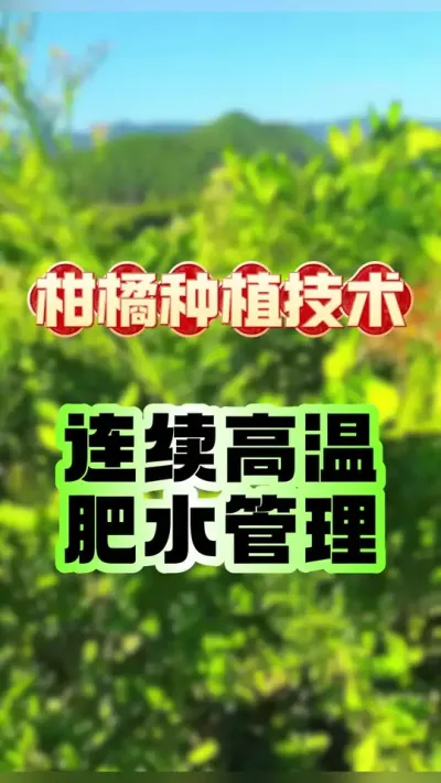 #dou һٷˮ #ݪֲ #ٹ # #ũҵݪֲ