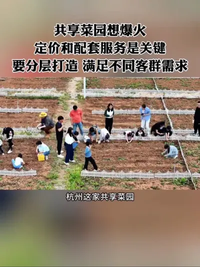 ������԰�뱬�������ۺ����׷�����Ҫ����Ҫ�ֲ������֪�����Ⱥ����#������԰ #����ũҵ #ũ�� #��ũ�� #ũׯ