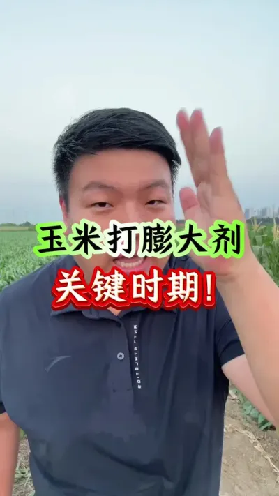 ״Ҫʱڣ #ݪֲС #ݪֲ # #а鴼