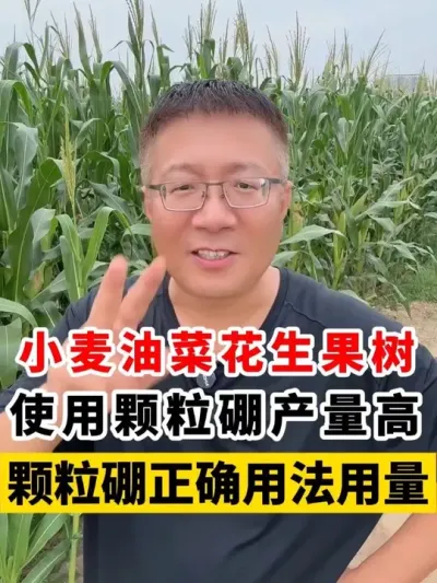 СͲ˻ˮÿ׼ȷ÷ #Сݪֲ # #С߲ #С׷ #Сݪֲ