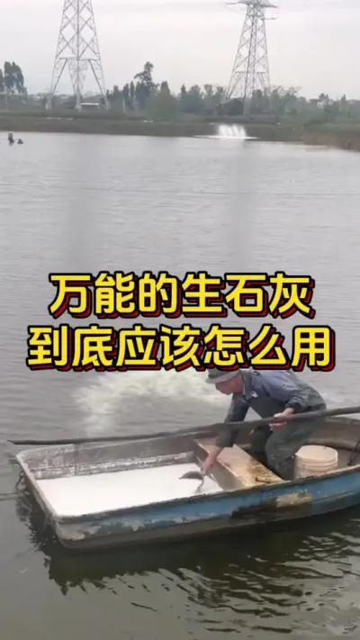 万能的生石灰，到底应该怎么用#对虾养殖 #养虾人 #南美白对虾 #嘉骏新水产 #嘉骏集团
