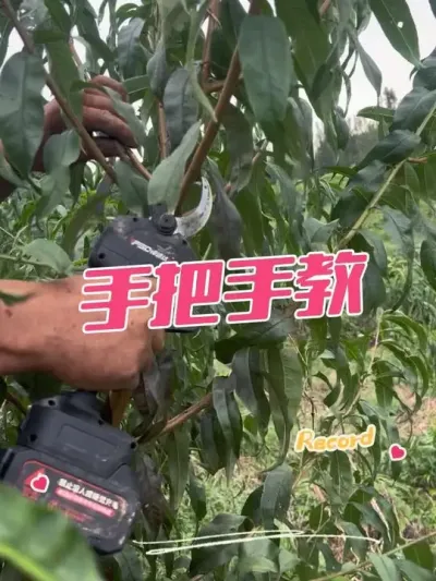 ְֽ Ƿ̽ʵĹũ40Ķ԰6㶼׼ʱڿ绰˵“Щû̫ܲ԰ֳ޼”԰ֳָ޼