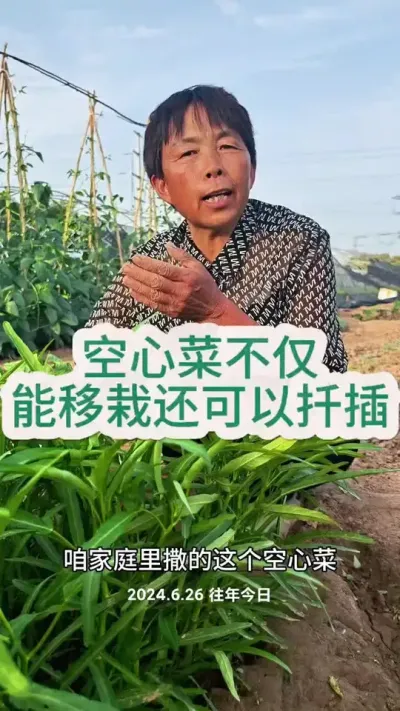 ���Ĳ�Ǥ��ݪֲС����#��ũ #���Ĳ� #���Ĳ�ݪֲ #�߲����� #ݪֲС���� @DOU+������ @��������С���� @DOU+С����