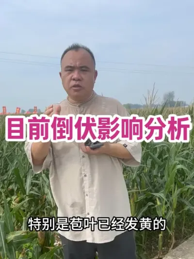 ڵӰ ڵԲӰ첻ջһѵ㾢#ũҵݪֲ