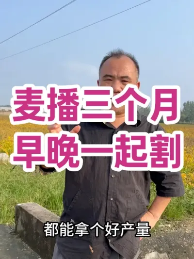  һ ȻջҲҪջҲҪݸҲҪϸ岥ǰ۾ϸȫ׳ܸ߲#ũҵݪֲ