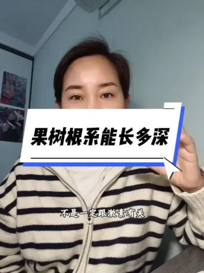 ϵܹʵľʲܹ###ϵ