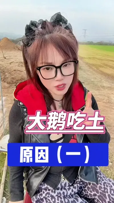 # #շ #ũ崴ҵֳ