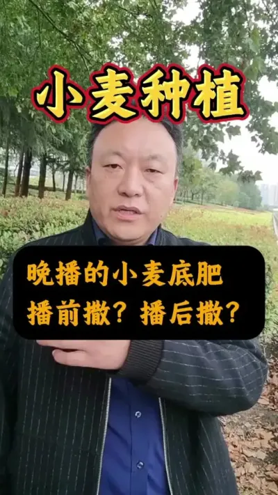 Сʲôʱ׷#Сݪֲ #С׷