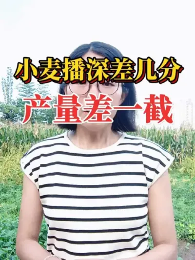 СȲһأСȼ#ũ #ũҵݪֲ #С #Сݪֲ #2025ũ