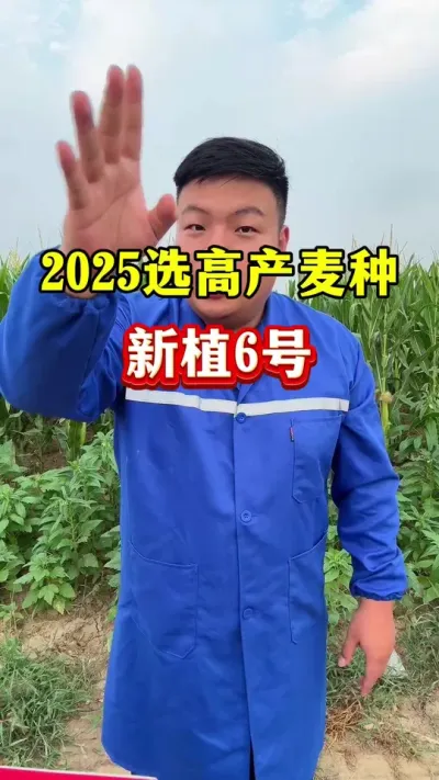 2028߲ѡֲ6ţ #Сݪֲ #СƷ #߲СƷ #ֲ6