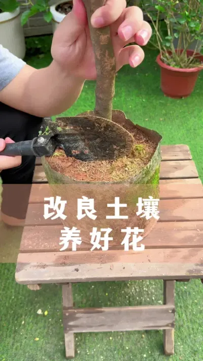 �����������û�#������ֲ #����С֪ʶ #�����İ����� #������������