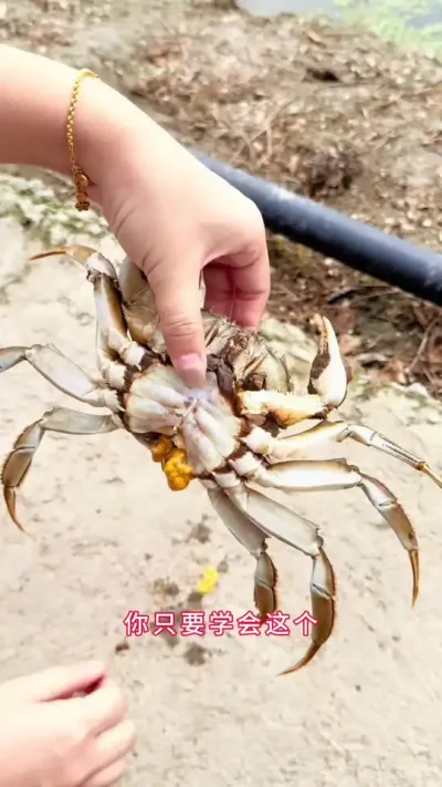 ֻҪѧ׼ȷ˳Ʒԩ·#зֳ #Ϻзֳ #зֳ #բзֳ #ũ @DOU+С @DOU+