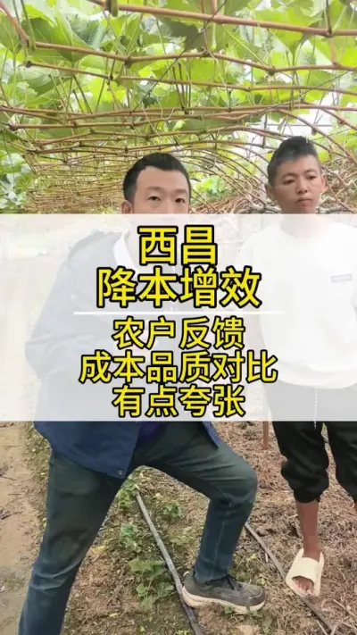 Ч #ݪֲ #ũ2022 #õ #ݪֲ #ũ