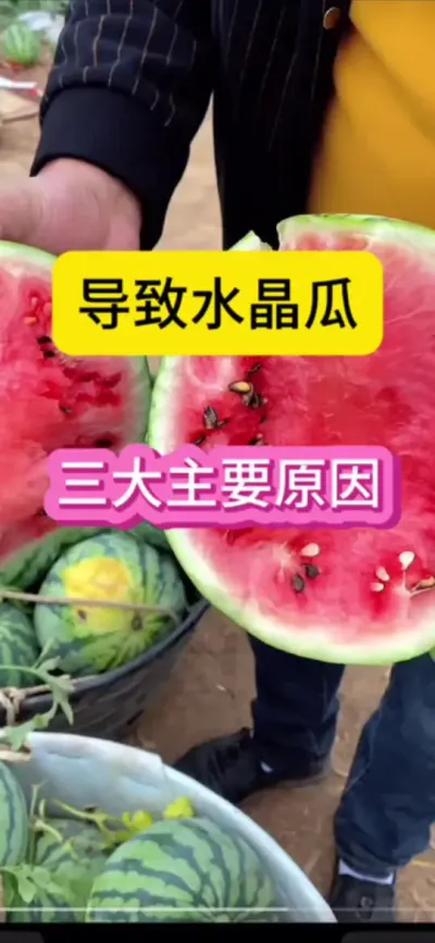 #ũҵֲ֪ʶ #ũҵݪֲ #ũҵ