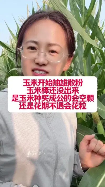 ׻ڲ #ũҵ֪ʶũ #ũ֪ʶ #ݪֲС