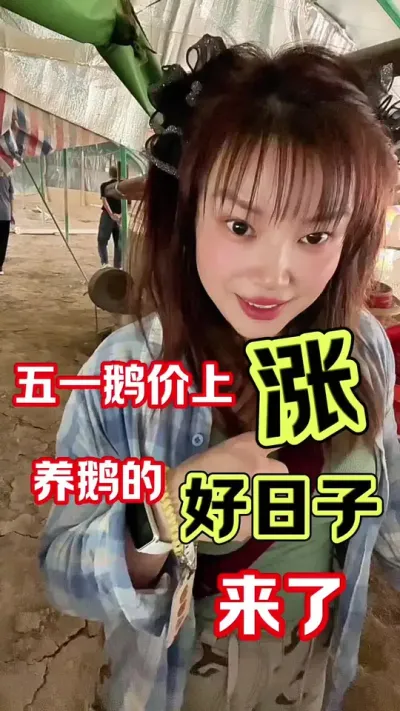 鹅价的拐点来啦#农村创业养殖 #养鹅人 #我的农村生活