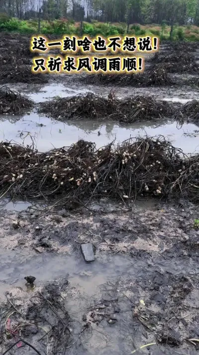 ˮµĻǴҩʩʵ׵ıⲻ۵ˣũֹװΩԸ˳