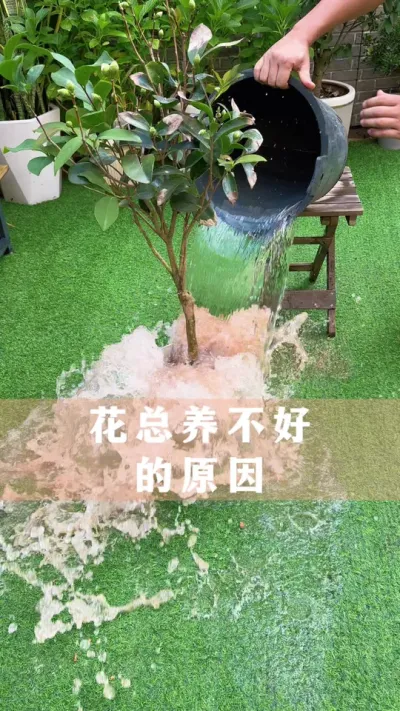 Ѱѻ#ֲ #С֪ʶ #İ